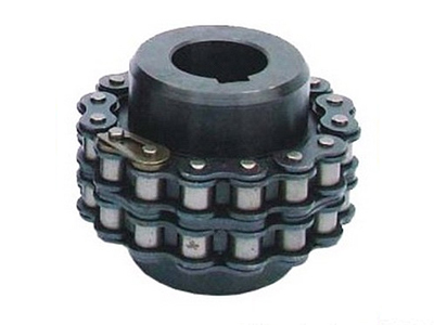 GL type roller chain coupling
